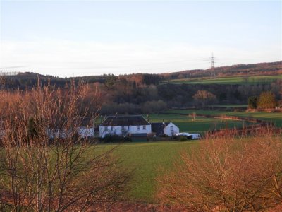 P2101113 (Medium).JPG