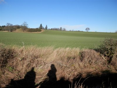 P2101149 (Medium).JPG