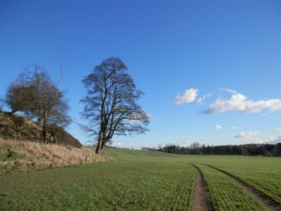 P2101164 (Medium).JPG