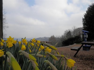 Across the daffs to Riber