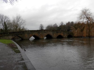 PC240116 (Medium).JPG