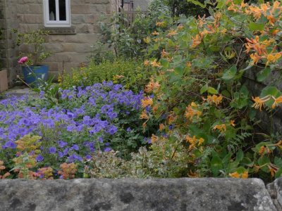 Passing lovely gardens on Granby Croft