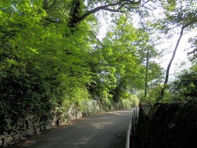 Early morning walk, looking back down Butts Road
