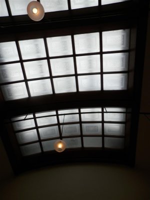 P6210459 (Medium).JPG