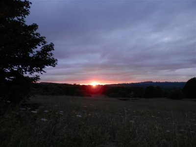 P6220530 (Medium).JPG