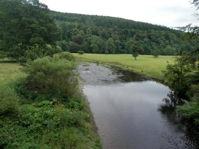 P7231430 (Medium).JPG