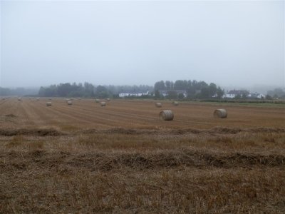 P9140131 (Medium).JPG