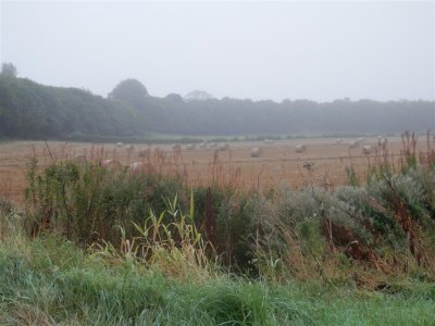 P9140176 (Medium).JPG