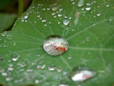 P9150217 (Medium).JPG