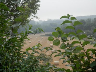 P9150324 (Medium).JPG