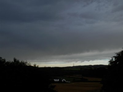 P9160423 (Medium).JPG
