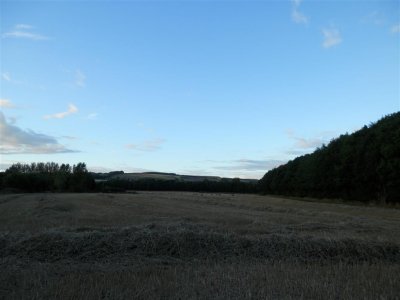 P9160569 (Medium).JPG