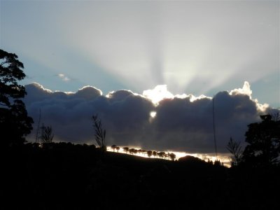 P9160580 (Medium).JPG