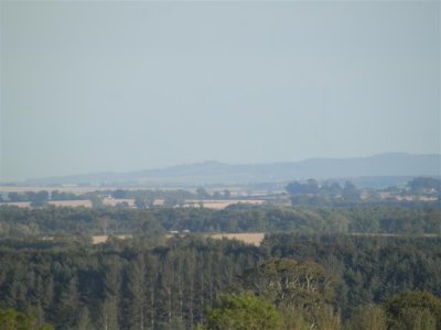 P9170652 (Medium).JPG