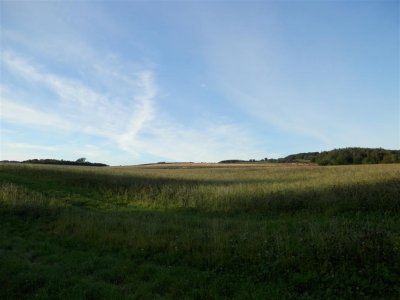 P9170658 (Medium).JPG