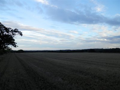 P9180690 (Medium).JPG