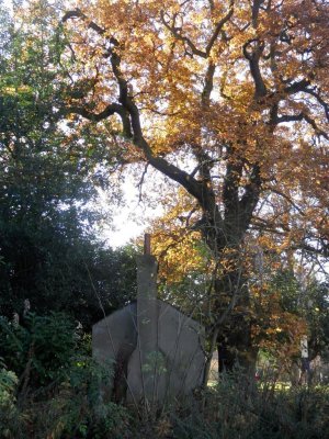 The Whitworth Centre, Darley Dale - park