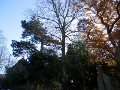 The Whitworth Centre, Darley Dale - park