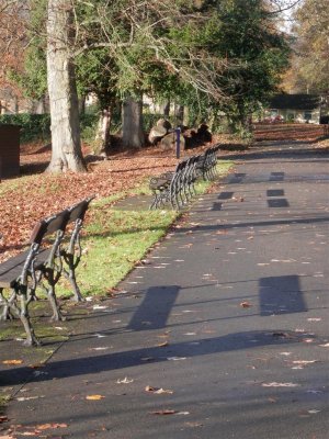 The Whitworth Centre, Darley Dale - park