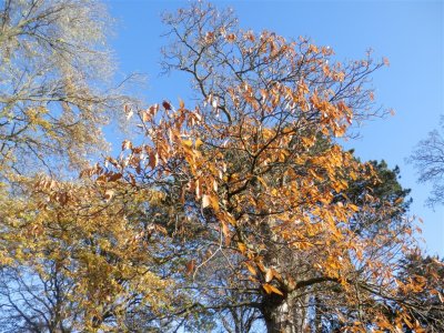 PB191047