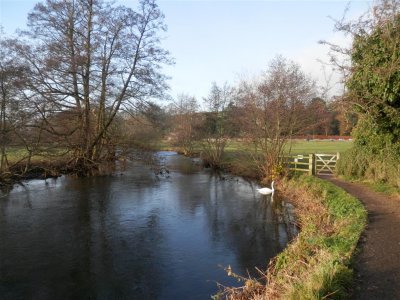 PC071229 Bakewell