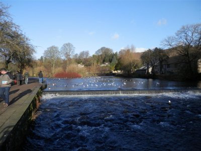 PC261326 (River Wye, Bakewell