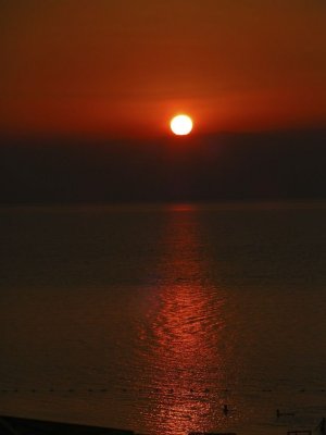 Jordanië - 166.jpg