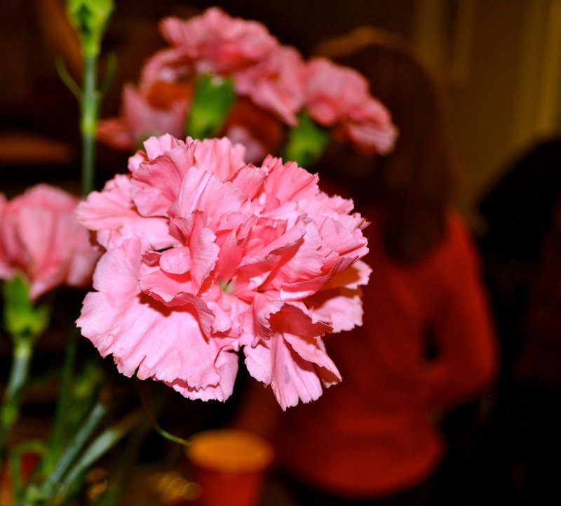 DSC_0396.JPG