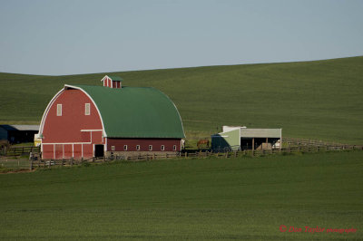 Palouse country WA