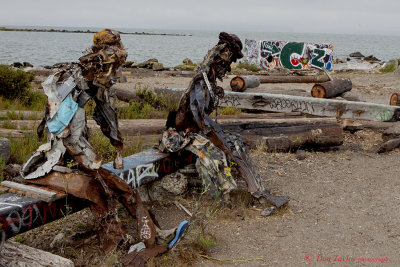 Art Albany Waterfront Trail