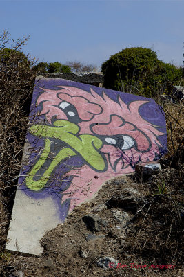 Art Albany Waterfront Trail