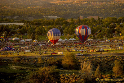 The Great Reno Balloon Race 2014