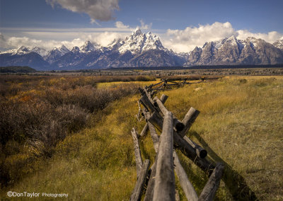 Rustic buckrail fence