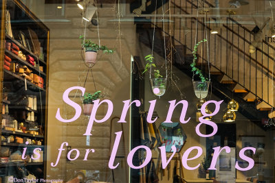 Spring is for Lovers