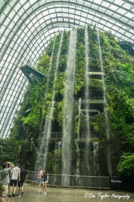 The worlds tallest indoor waterfall. 