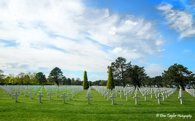 burial area 