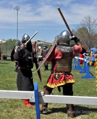 CoronationSpring2015_0447_edited-1.JPG