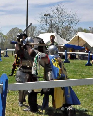 CoronationSpring2015_0530_edited-1.JPG