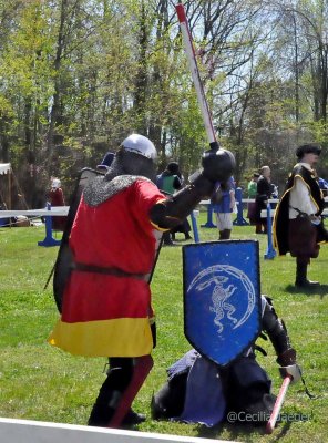 CoronationSpring2015_0604_edited-1.JPG