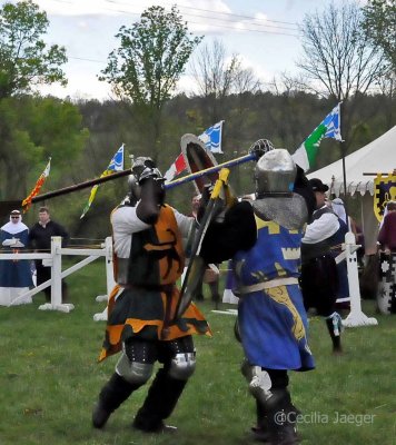 SpringCrown2015_0375_edited-1.JPG