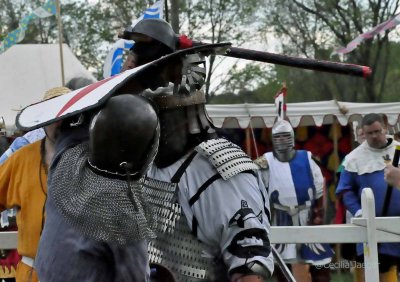 SpringCrown2015_0404_edited-1.JPG