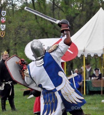 SpringCrown2015_0422_edited-1.JPG