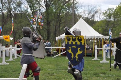 SpringCrown2015_0629.JPG