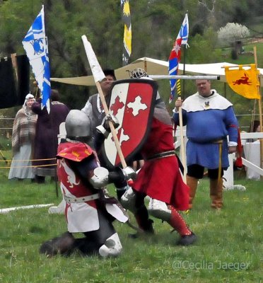SpringCrown2015_0751_edited-1.JPG