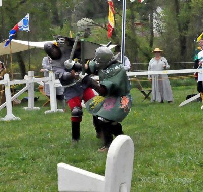 SpringCrown2015_0829_edited-1.JPG
