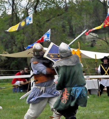 SpringCrown2015_0874_edited-1.JPG