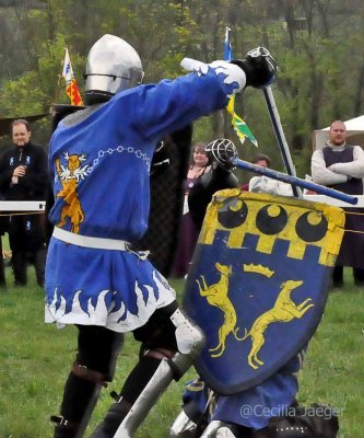 SpringCrown2015_0994_edited-1.JPG