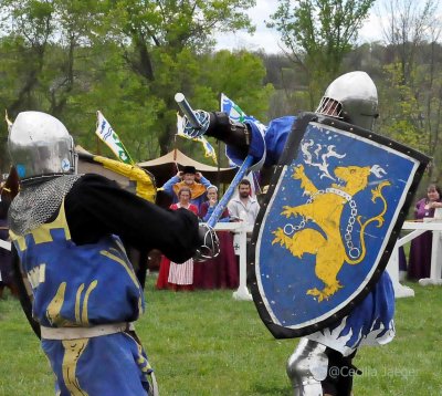 SpringCrown2015_1030_edited-1.JPG