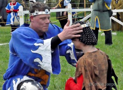 SpringCrown2015_1119_edited-1.JPG