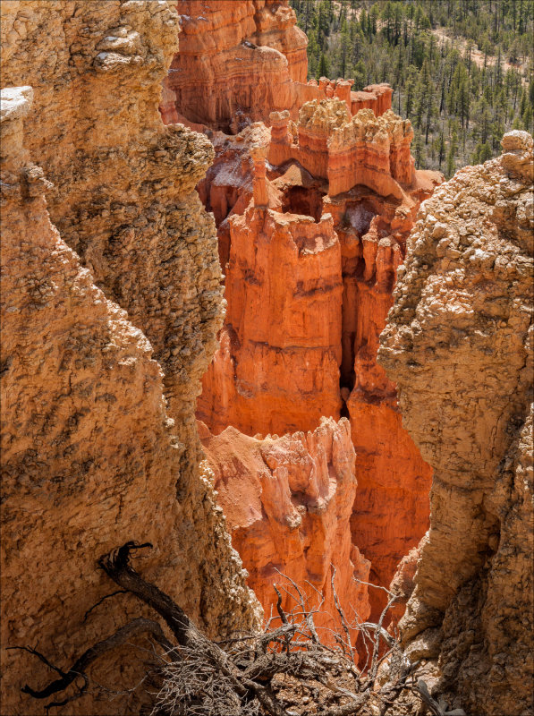 Bryce Canyon 